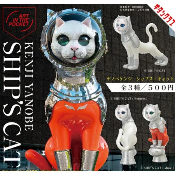 単品 AIP ヤノベケンジ SHIP'S CAT 【在庫品】