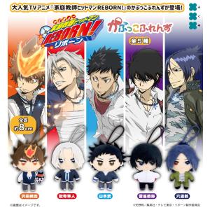 BANDAI（バンダイ） 家庭教師ヒットマンREBORN! めじるしアクセサリー