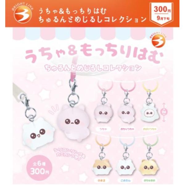 うちゃ＆もっちりはむ ちゅるんとめじるしコレクション 全6種セット 【2026年9月予約/コンプリー...