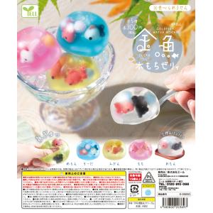 金魚水もちゼリィ 全5種セット 【2026年9月予約/コンプリート】