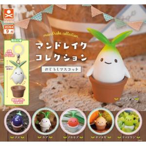 マンドレイクコレクション めじるしマスコット 全6種セット 【2026年9月予約/コンプリート】