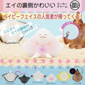エイの裏側可愛い マーカーチャーム 全5種セット 【2026年10月予約/コンプリート】