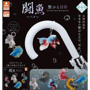 奇奇奇 闘魚 ベタ 繋がる目印 全6種セット 【2026年11月予約/コンプリート】