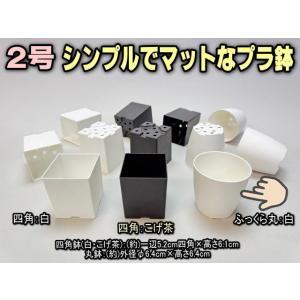 シンプルでマットなプラ鉢2号白-丸 1個売り[2GW]の商品画像