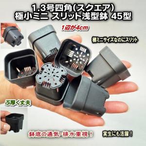 1.3号四角(一辺4cmスリット鉢で最小スクエア)極小ミニスリット浅型鉢45型-黒★高機能ミニ鉢※鉢底の通気排水重視※擦傷有※プレステラ系[1-7B/2GB/1-7W/178]