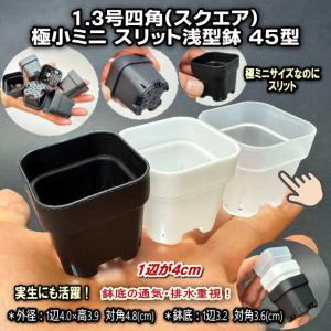1.3号四角(一辺4cmスリット鉢で最小スクエア)極小ミニスリット浅型鉢45型-半透明(クリアー)高機能ミニ鉢※鉢底の通気排水重視※プレステラ系[1-7B/2GB/1-7W/178]