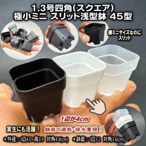 1.3号四角(一辺4cmスリット鉢で最小スクエア)極小ミニスリット浅型鉢45型-白☆高機能ミニ鉢※鉢底の通気排水重視※プレステラ系[1-7B/2GB/1-7W/178]