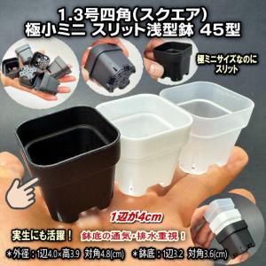 黒*1.3号四角(一辺4cmスリット鉢で最小ス...の詳細画像1