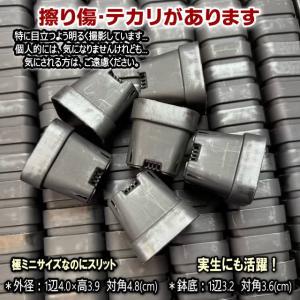 黒*1.3号四角(一辺4cmスリット鉢で最小ス...の詳細画像2