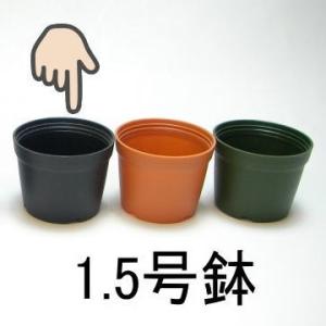 1.5号プラ鉢-黒 超ミニサイズ 1個売り[1-7B]｜fseguchi