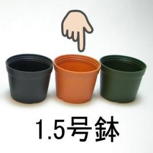 1.5号プラ鉢-茶 超ミニサイズ 1個売り[1-7B]｜fseguchi