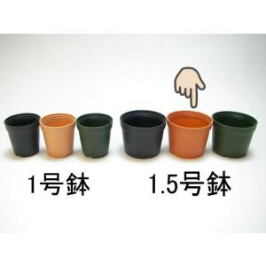 1.5号プラ鉢-茶 超ミニサイズ 1個売り[1...の詳細画像1