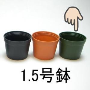 1号プラ鉢ぴったり整理トレイ：深型-薄(ソフト)＋1号プラ鉢-茶-超ミニ