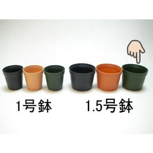 1.5号プラ鉢-緑 超ミニサイズ 1個売り[1...の詳細画像1