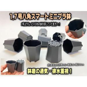 1.7号八角スマート◆高機能ミニプラ鉢(直径φ5.1(対角5.5)×鉢底3.8×高さ5.5cm)鉢底の通気・排水重視！＊1ミリ前後の白斑点有※単品1個売[1-7B][2GB][178]