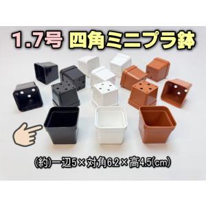 1.7号四角プラ鉢-黒-超ミニサイズ 1個売り(擦り傷目立つ傾向あり)[1-7B][178]｜fseguchi