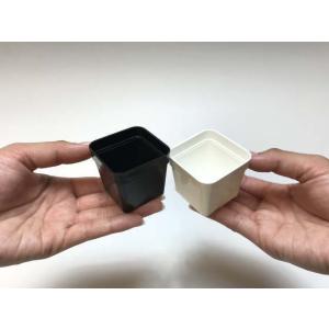 1.7号四角プラ鉢-黒-超ミニサイズ 1個売り...の詳細画像3