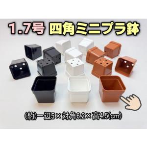 1.7号四角プラ鉢-茶-超ミニサイズ 1個売りの商品画像