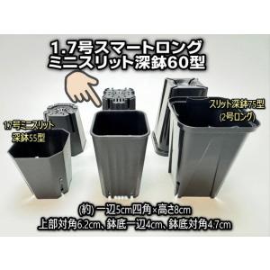 1.7号スマートロング-ミニスリット深鉢60型-黒★H(スリットポット/スリット鉢)ぶ厚い高機能ミニプラ鉢※鉢底の通気排水重視！プレステラ[1-7B][2GB][1-7W][178]