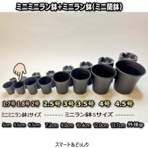 1.8号ミニミニラン鉢系どっしりカップ型(黒)ブラック●高機能ミニプラ鉢(直径φ5.5×鉢底3.9×高さ5.5cm)鉢底の通気排水重視※鉢同士接触擦傷有[1-7B][2GB][178]