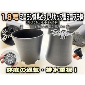 1.8号ミニミニラン鉢系どっしりカップ型(黒)...の詳細画像1