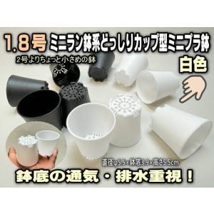 1.8号プラ鉢スマート型-ミニサイズ【茶】1個売り[1-7B] : フラワー