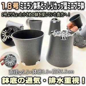 1.8号ミニミニラン鉢系どっしりカップ型(黒)...の詳細画像1