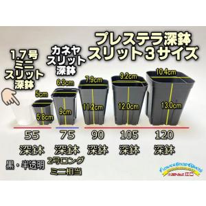 1.7号ミニスリット深鉢55-黒☆(スリット鉢)☆高機能ミニプラ鉢 1.7号ミニスリット深鉢55-黒☆(スリット鉢)☆高機能ミニプラ鉢