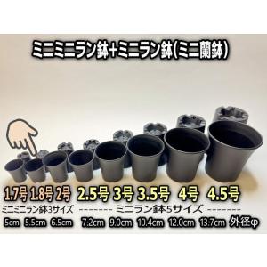 1.8号ミニミニラン鉢系どっしりカップ型(黒)B...の商品画像