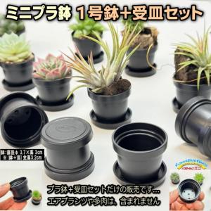 1号プラ鉢-黒鉢＋黒受皿セット 超ミニサイズ｜fseguchi