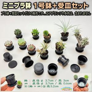 1号プラ鉢-黒鉢+黒受皿セット 超ミニサイズ1...の詳細画像1