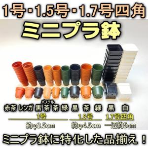 1号プラ鉢-パステル茶 超ミニサイズ 1個売り...の詳細画像1