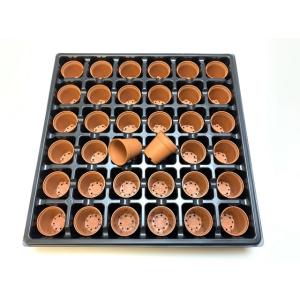 1号プラ鉢-(濃い)茶 超ミニサイズ 1個売り...の詳細画像4