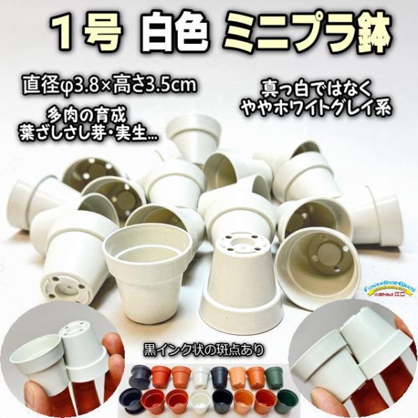 1号プラ鉢-白(W＊ホワイト)-超ミニサイズ(1号鉢1寸鉢一寸鉢)※黒インク状の付着や製造時の細い白...