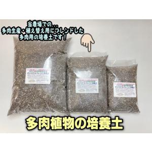 多肉植物専用オリジナルブレンド培養土-2L[無地袋](細粒系好み用)｜fseguchi