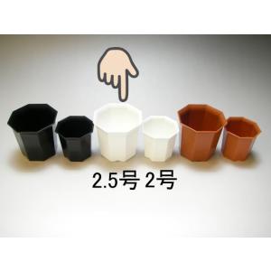 八角縁広プラ鉢(シャトル鉢)-2.5号中-白(八角鉢)[2GW][254GW]