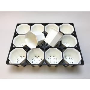 八角縁広プラ鉢(シャトル鉢)-2.5号中-白(...の詳細画像3