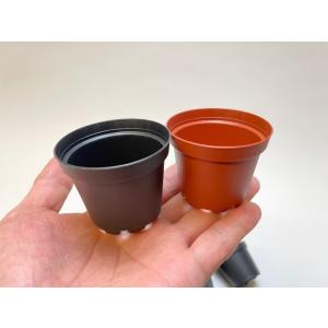2号プラ鉢どっしり型-ミニサイズ【黒-超ミニ】...の詳細画像5