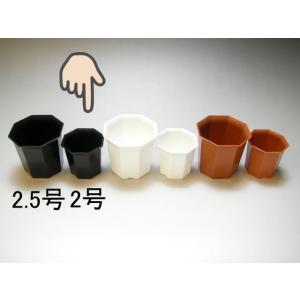 ボール型プラ鉢-2号-白小(1鉢)[2GW][254GW] : フラワーショップ江口