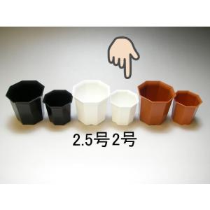 八角縁広プラ鉢(シャトル鉢)-2号小-白(八角鉢...の商品画像