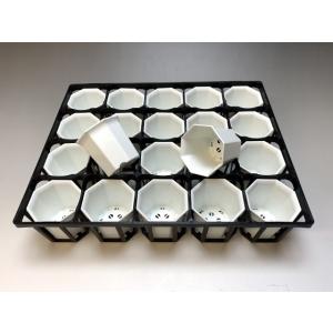 八角縁広プラ鉢(シャトル鉢)-2号小-白(八角...の詳細画像5