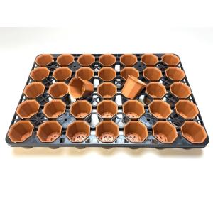 八角縁広プラ鉢(シャトル鉢)-2号小-茶(八角鉢)の詳細画像4