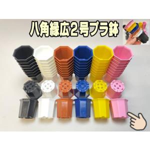 八角縁広プラ鉢(シャトル鉢)-2号小-ピンク*八角鉢の商品画像