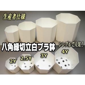 八角縁切立白プラ鉢-3号-中(3Y)カネヤ*兼...の詳細画像3