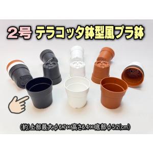 テラコッタ鉢型風プラ鉢-2号-黒※【黒-超ミニ】[2GB]