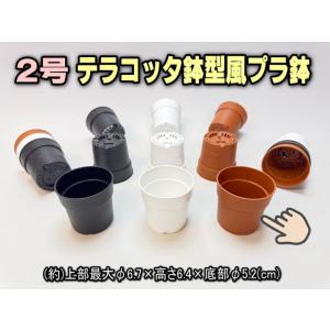 テラコッタ鉢型風プラ鉢-2号-茶