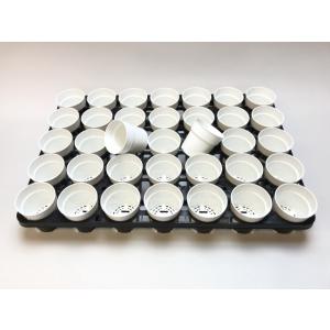 テラコッタ鉢型風プラ鉢-2号-白[2GW]の詳細画像4