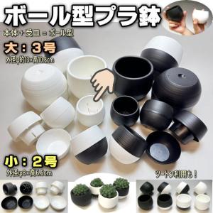 ボール型プラ鉢-3号-白大(1鉢)[254Gw] : フラワーショップ江口Yahoo!店
