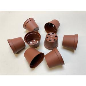 [販売終了]2号プラ鉢どっしり型-ミニサイズ[2GB]の商品画像