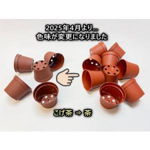 [販売終了]2号プラ鉢どっしり型-ミニサイズ[...の詳細画像1